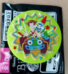ディズニー 刺繍缶バッジ2 10種セット
