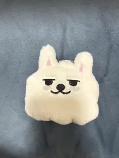 プルバトゥ ヨンモン コインポーチ