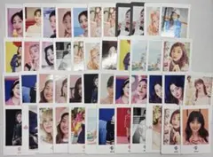 twice 지효 포토 카드 세트 묶음 판매
