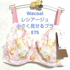 あけみん様 リクエスト 2点 まとめ商品