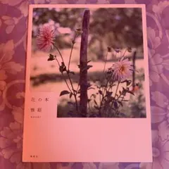 Item thumbnail for item c5c9a6e8-3cd7-4a60-a806-7448543e4534