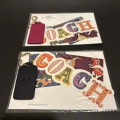 Item thumbnail for item bc07ce0b-19ec-4b98-8e97-0c3eec08dc90