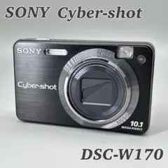 2026年最新】SONY DSC-W170の人気アイテム - メルカリ