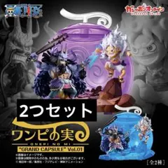 ワンピの実 GRAND CAPSULE フルセット