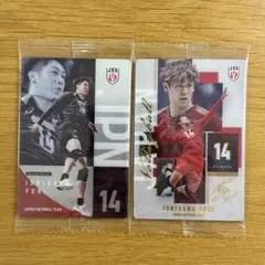 男子バレーボール日本代表 ツインウエハース 石川祐希