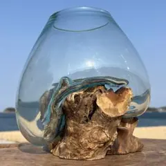 流木ガラス オブジェ特大D 花瓶 金魚鉢 ガーデニング テラリウム 観賞魚 容器