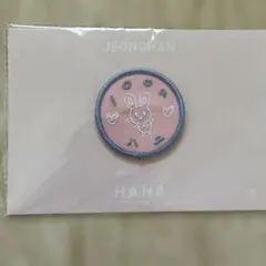 SEVENTEEN ワッペンバッジ&ピンバッジセット　エスクプス 2025年最新】seventeen ワッペン エスクプスの人気アイテム