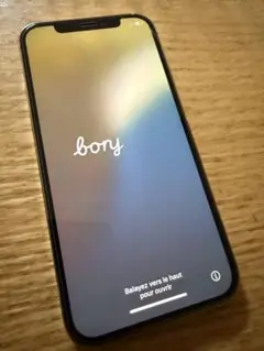 Apple iPhone 12pro 256GB