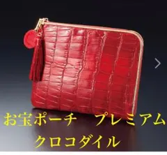 ＜極運＞ 金財満開　お宝ポーチプレミアム　クロコダイル！ 極運＞ 金財満開お宝ポーチプレミアムクロコダイル！