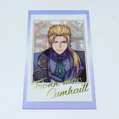 FGO FGOフェス ポートレート ポートレイト フィン マックール