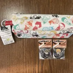ハイキュー!! ペンケース、バッジセット