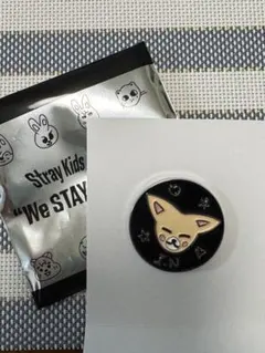 Stray Kids EXHIBITION ピンバッジ フォクシニー　I.N
