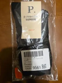 Item thumbnail for item 46154cb4-1eac-4a16-b582-e525887ae24b