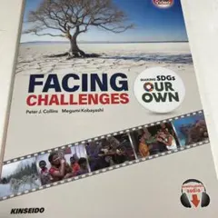 Facing Challenges
