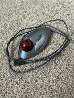 Item thumbnail for item ac865871-ac3b-4699-a2f9-bbae772007d2