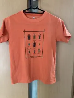 モンベル キッズTシャツ 昆虫柄 美品 130cm