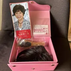 ウィッグ ユキ 専用ケース付き ウィッグユキのポイントウィッグを部分別にご紹介