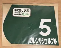 カレンルシェルブル 七夕賞 田辺裕信 福島競馬場 競走馬 ミニゼッケン JRA