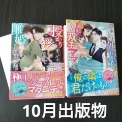 ベリーズ文庫　10月新刊出版物　2冊　TL文庫