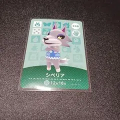 【どうぶつの森 amiiboカード】シベリア