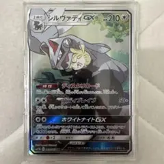 シルヴァディGX （極美品）