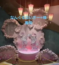 なんくるないさー⭐︎様専用です