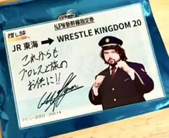 こさやん様 リクエスト 2点 まとめ商品