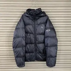 ジャケット・アウター Nike ACG Logo Down Jacket NIKE]ACG Therma-Fit ADV Lunar Lake Puffer Jacket Black (Nike