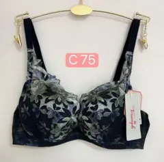 トリンプ天使のブラ 極上ライトTR544 ノンワイヤーブラジャー　C 75