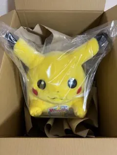 ポケモン30周年記念 おかえり！ピカチュウ 1/1