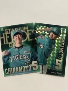 阪神タイガース シークレットトレーディングカード 近本光司 コンプ