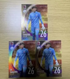 Item thumbnail for item 2040c24a-9f0b-4423-895e-b2d8f2374680