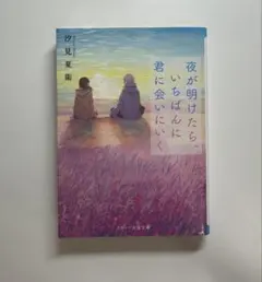 夜が明けたらいちばんに君に会いにいく 汐見夏衛