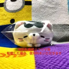 2026年最新】ねむり猫の人気アイテム - メルカリ