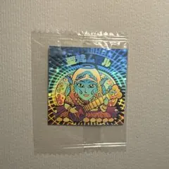 2026年最新】聖梵ムガルの人気アイテム - メルカリ