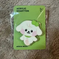 IVE   Line friends acrylic smarttok  ユジン