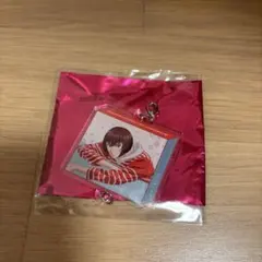 テニプリ　サマバレ　向日