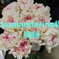 kumandarino様 リクエスト 3点 まとめ商品