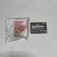 即日発送✨ズートピア　ブリスターチャーム　コレクション アイスキャンディー