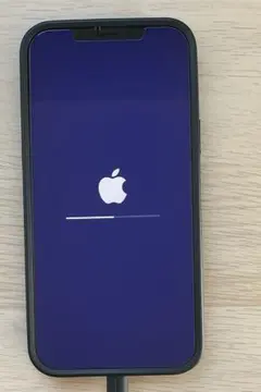 Apple iPhone 12 Pro Max 256GB