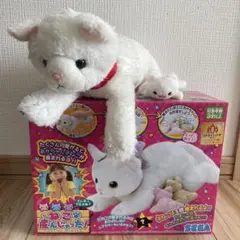 中古品 夢ねこスマイル - メルカリ