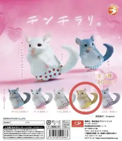 【チンチラリ。】ぎんがむおぱんつ ガチャガチャ カプセルトイ