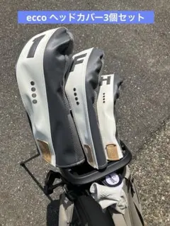 Item thumbnail for item b52cc1d8-c0e3-4e8a-a295-d2798897fcb7