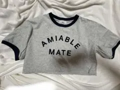 WEGO AMIABLE MATE リンガーTシャツ グレー