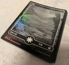 日本画【シルバースクロール・Foil】(155)むかつき FOIL 希少 限定品