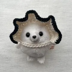 ぬい服 牡蠣のボンネット あざらし ミニビーンズのサムネイル