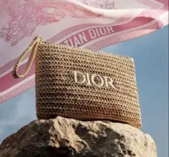 新品　ディオール　ノベルティ　　ストロー刺繍ポーチ　箱付き正規品 新品 ディオール ノベルティ ストロー刺繍ポーチ 箱付き正規品