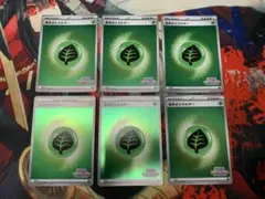 ポケモンカード 基本くさエネルギー いっしょにフレンドバトル プロモ 6枚
