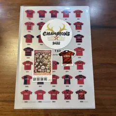 2025年サッカーチーム記念クリアファイル、シール
