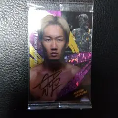 Item thumbnail for item 5316534c-6e0e-4f4d-a4cb-893f658077bf